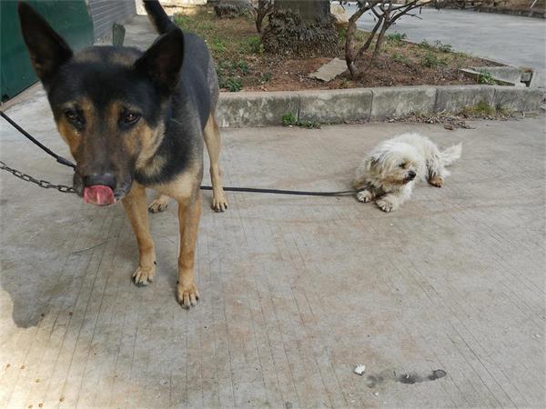 与广东广州中技佳涂装前处理设备喷涂线厂家的缘分