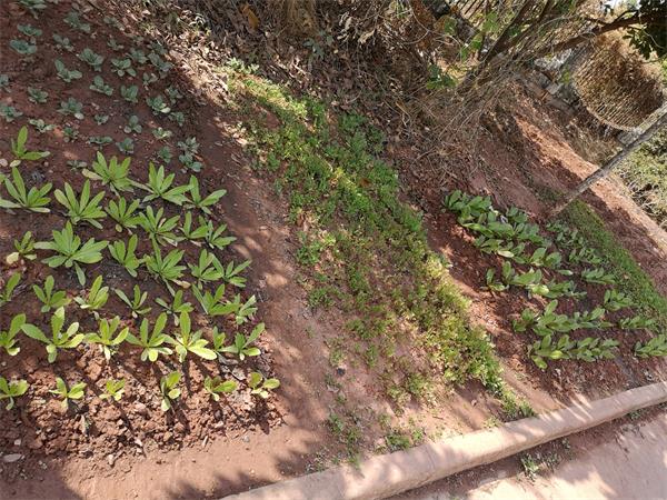 与广东广州中技佳涂装前处理设备喷涂线厂家的缘分